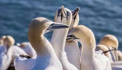 B体育_ “实时数据更新：如何评价当前球队的状态”，如何分析球队状态